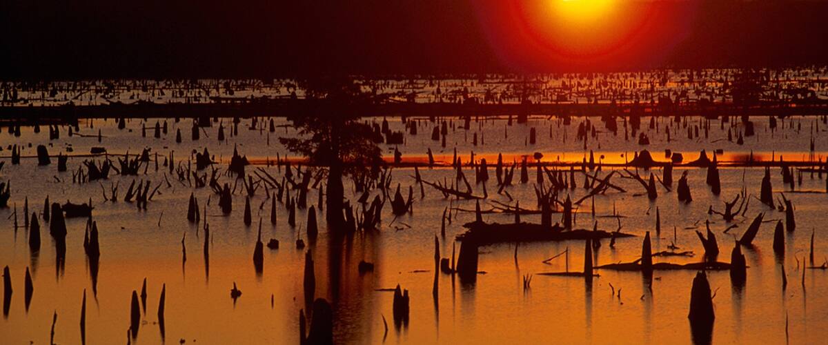Conway showing a lake or waterhole and a sunset