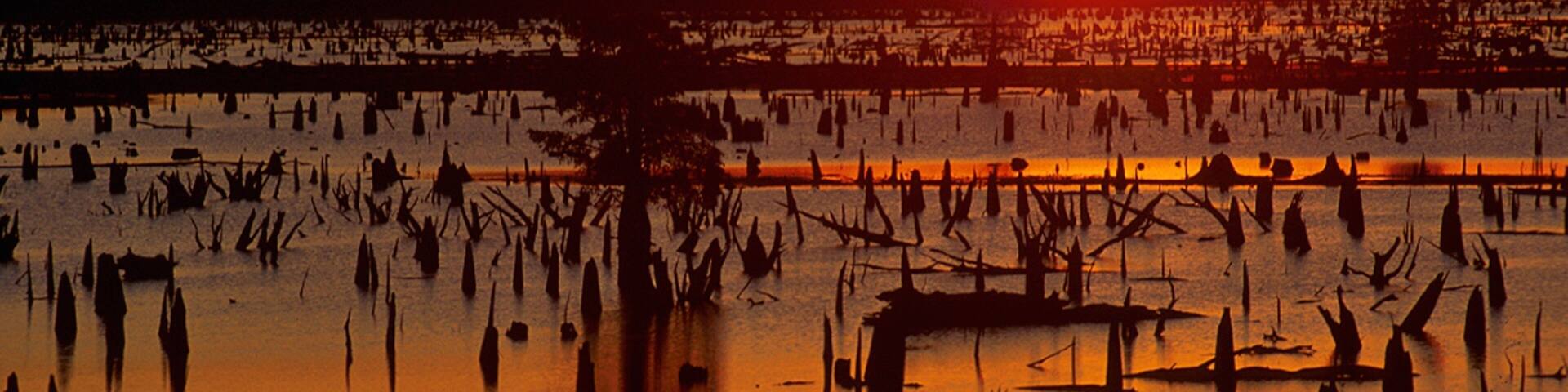 Conway que inclui um pôr do sol e um lago ou charco