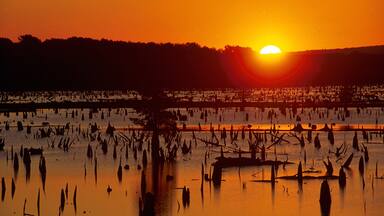 Conway que incluye un lago o abrevadero y una puesta de sol