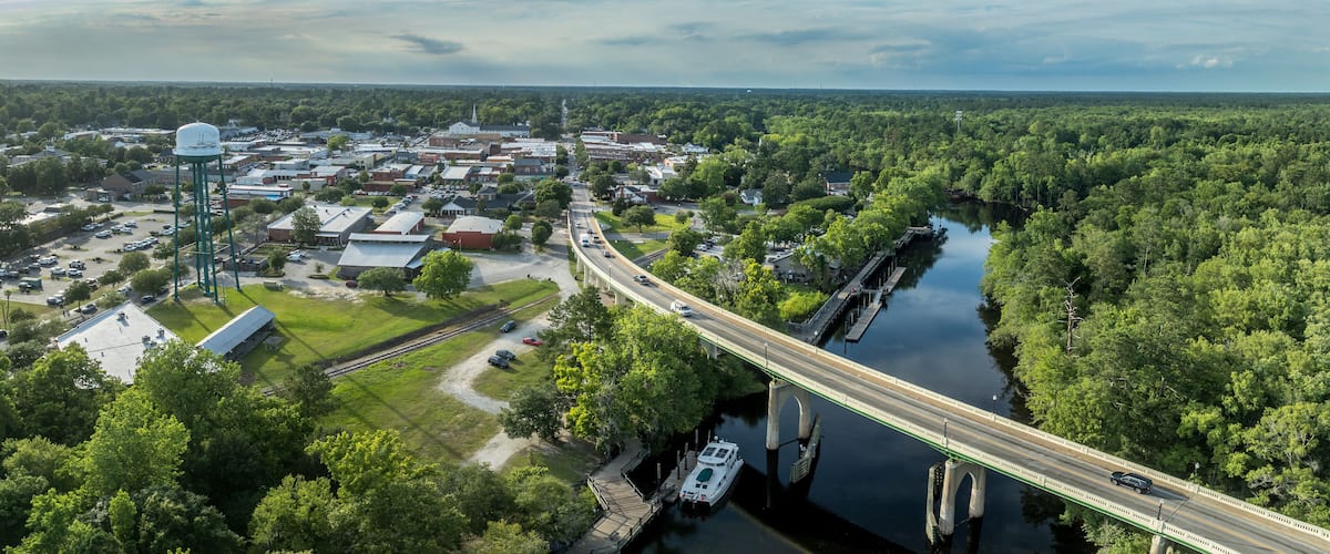 A river running through a town with a bridge, surrounded by dense greenery.