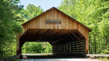 This is a Covered Bridge in Conyers, Georgia.