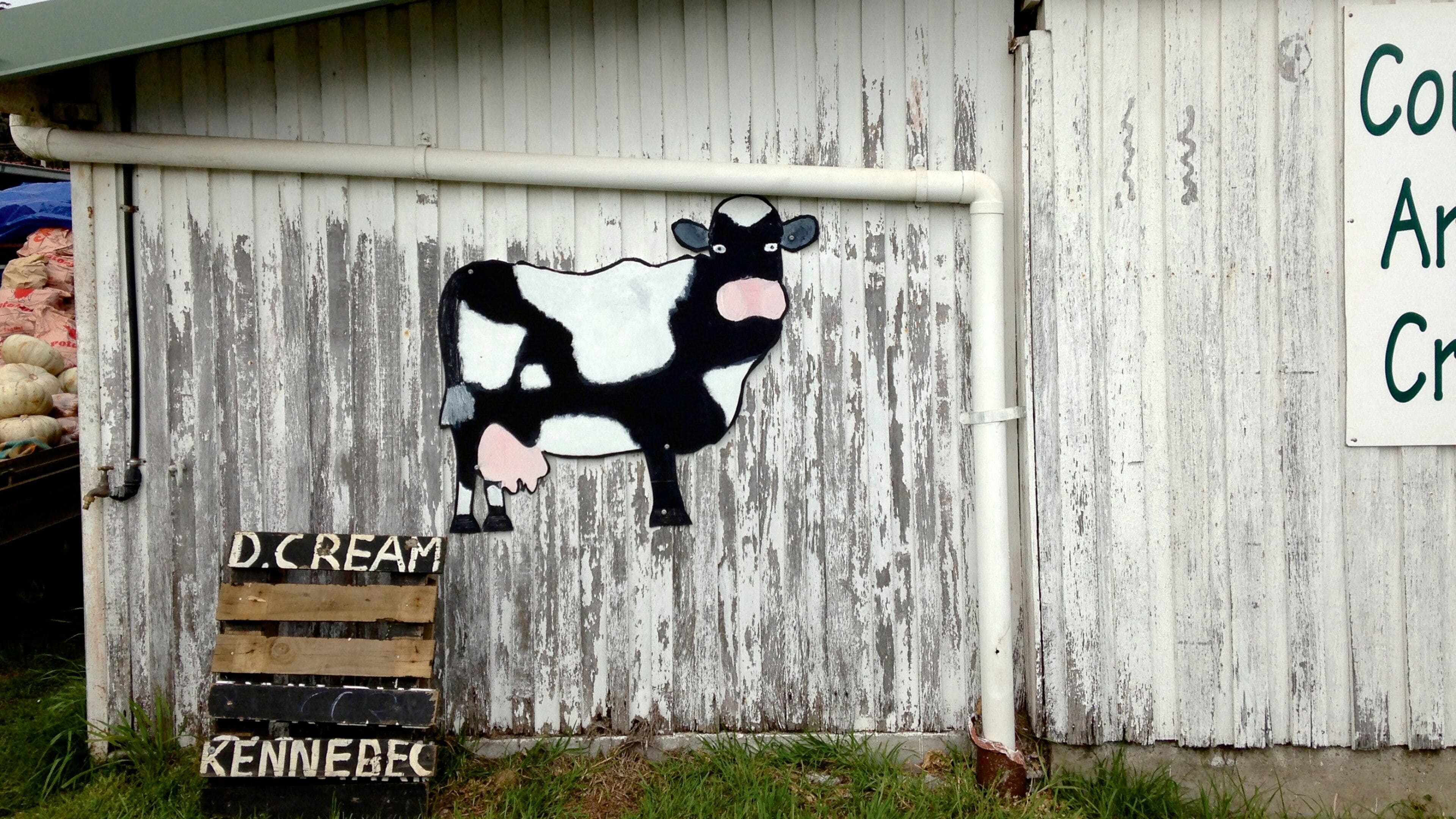 Burnie featuring signage and outdoor art