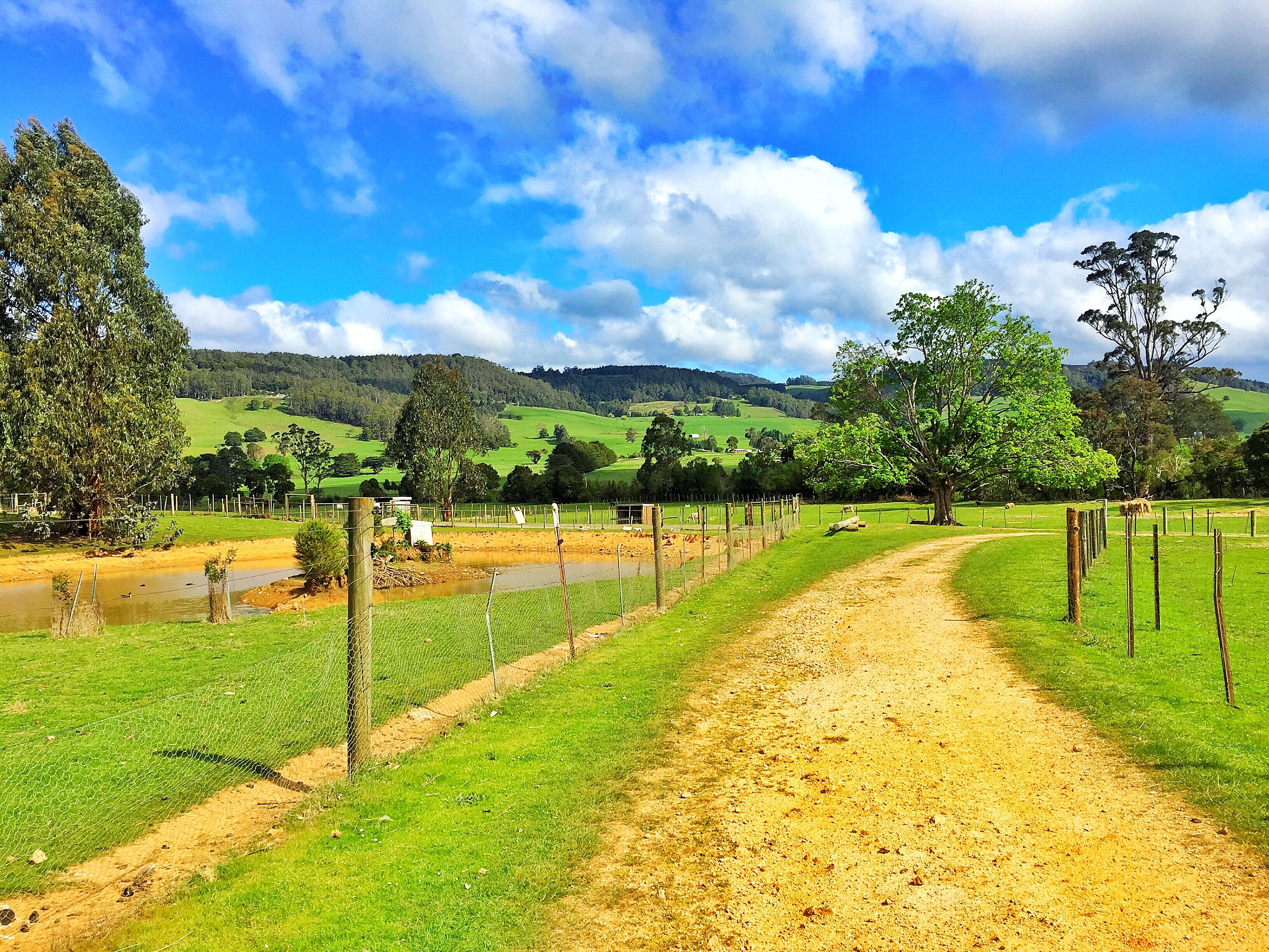 A rural landscape with a dirt path, green fields, and a fence.