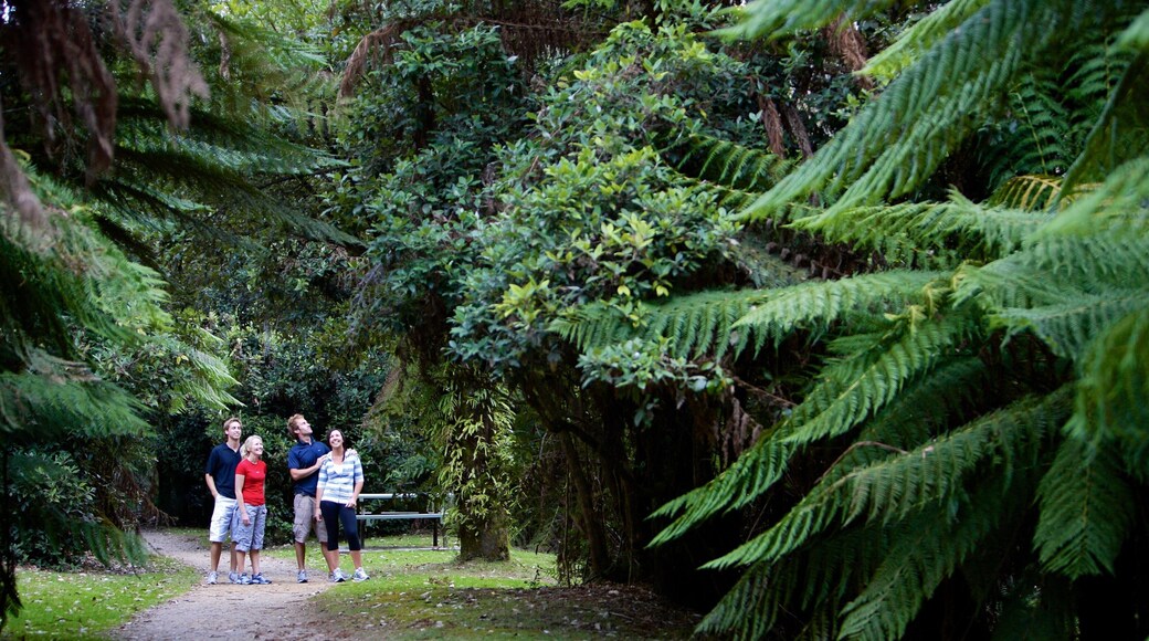 Burnie ofreciendo imágenes de bosques y jardín y también una familia