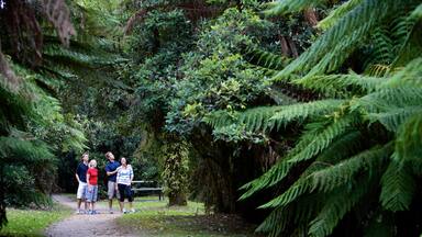 Burnie featuring a garden and forest scenes as well as a family