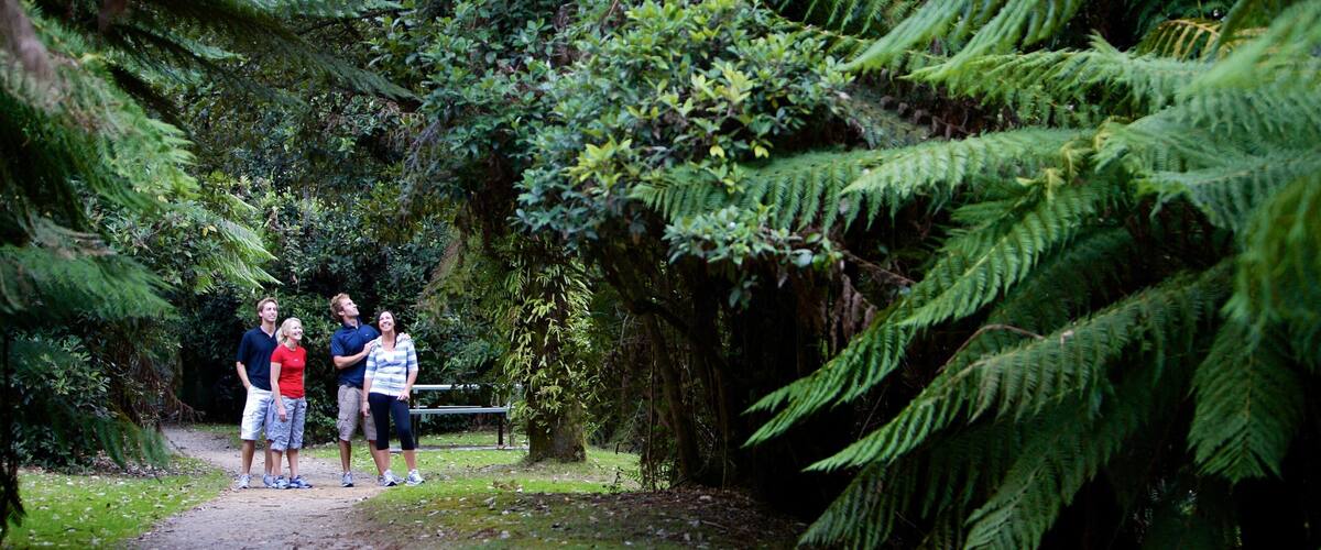 A group of people standing on a dirt path surrounded by dense green foliage and ferns.