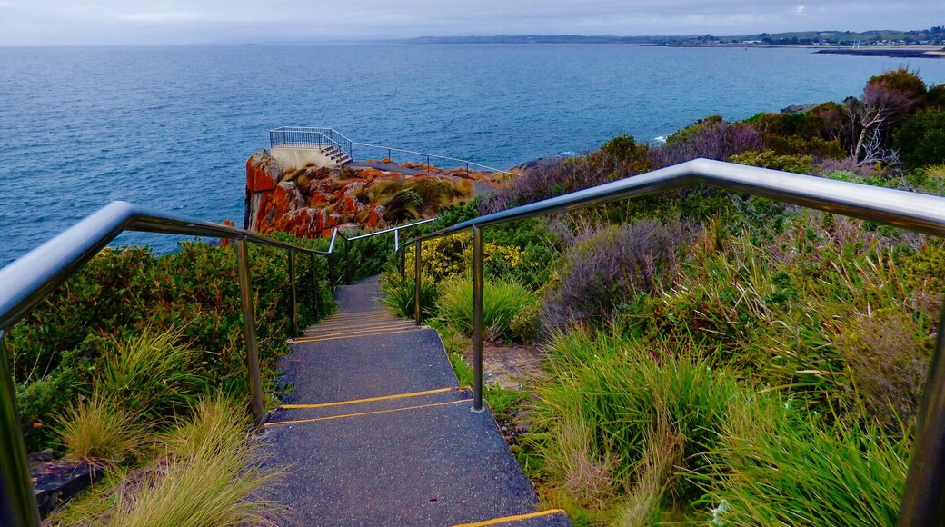 Burnie Lighthouse - walking track