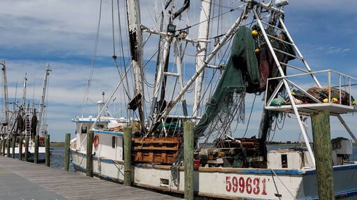 Fishing boats at the Apalachicola pier