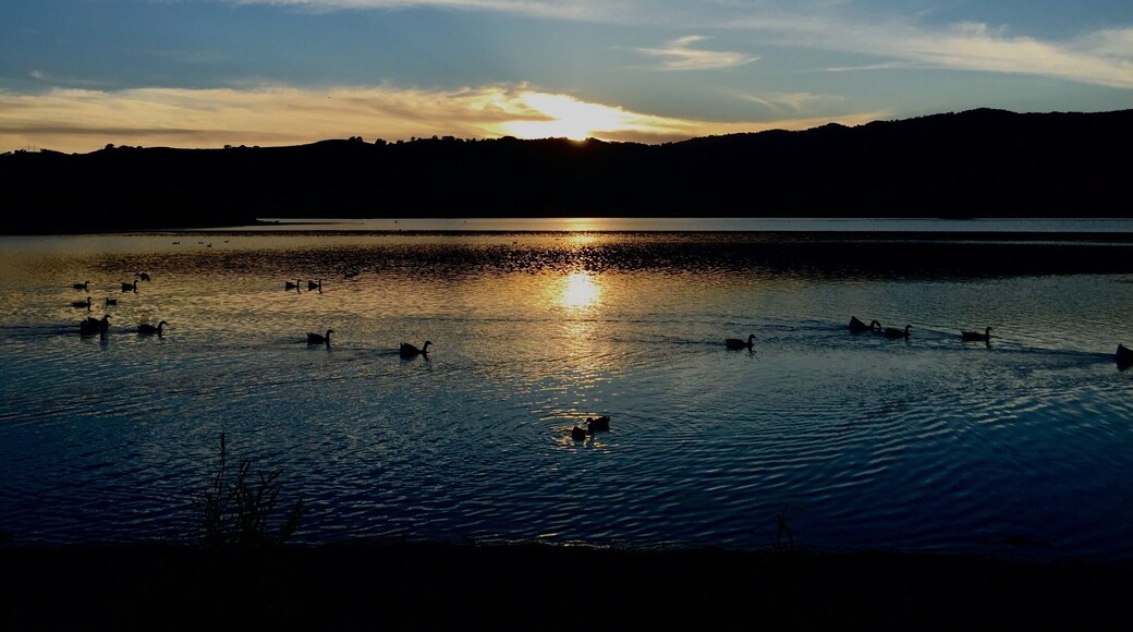 Visiting Family in Vacaville and decided to take a run on the trail and after I got some great runs I got treated with a nice sunset. #Roadtrip #Sunset