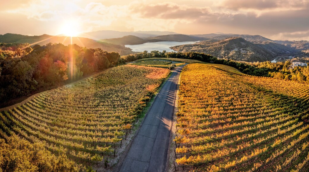 Vacaville