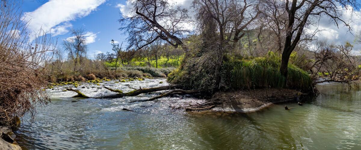 Panorama of Putah Creek island and rapids in Yolo County