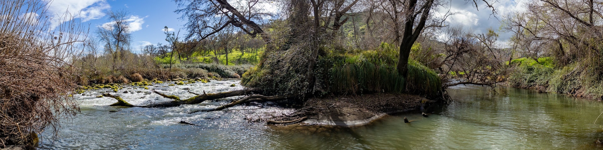 A river flowing through a forested area with trees and a clear sky.