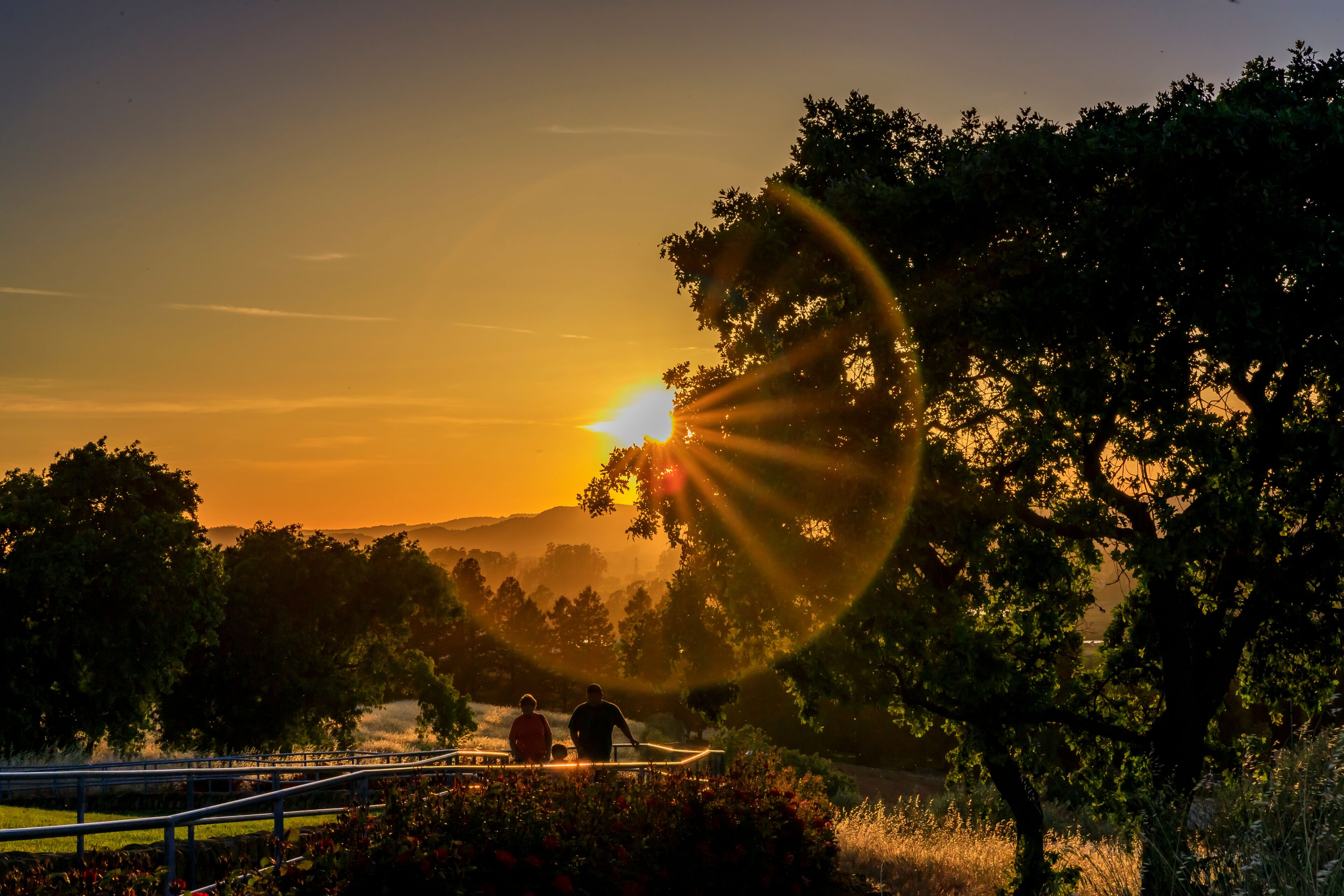 Vacaville