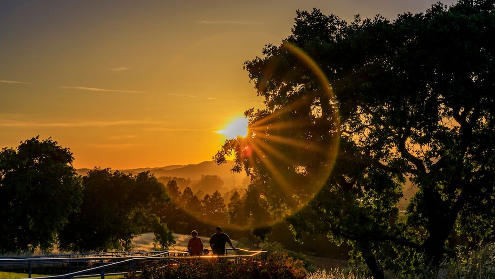 Landscape with a sun flare at sunset in Napa Valley, California, USA