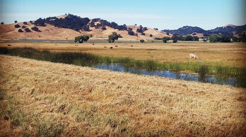 Weekend walk around this place is good for the body.