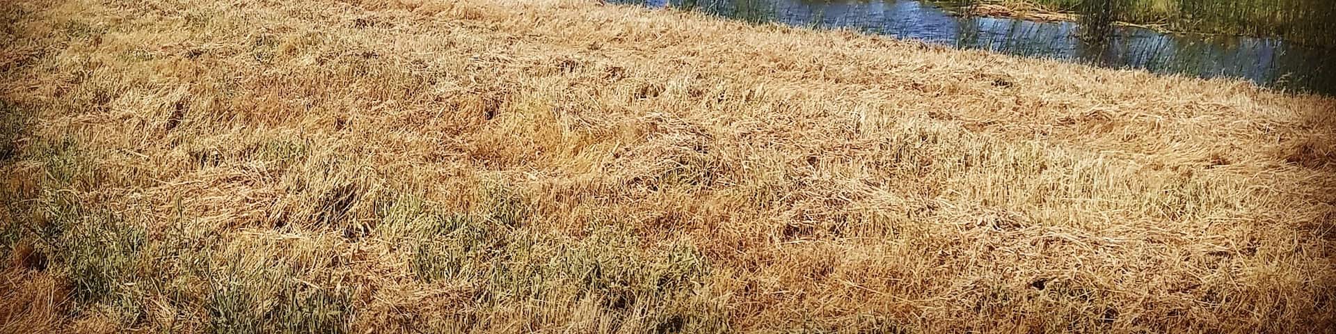 Weekend walk around this place is good for the body.