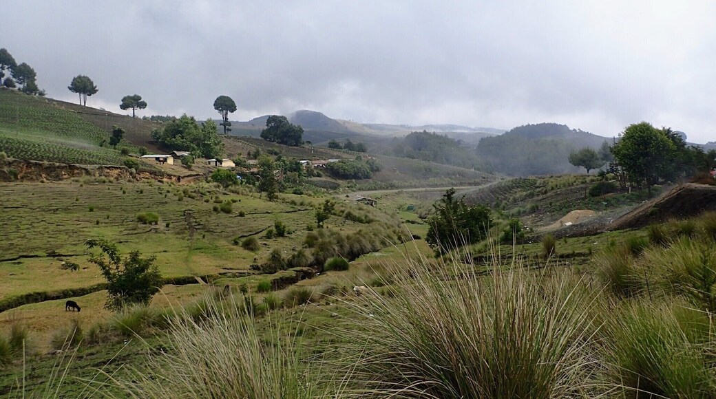 The photo was taken somewhere between Quetzaltenango and the Lago de Atitlán.
We walked from one place to the other in 3 days with Quetzaltrekkers which was a great experience.
