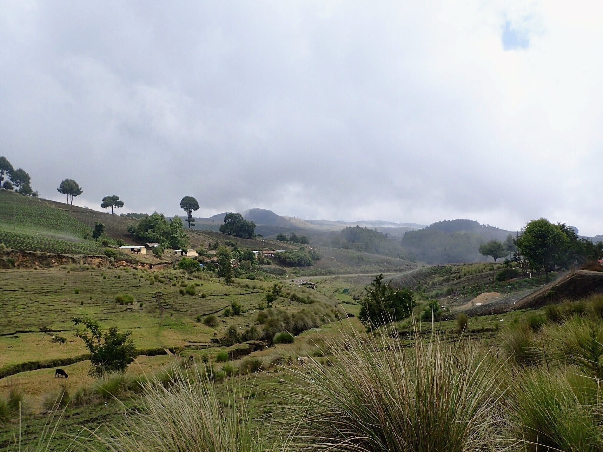 A rural landscape with rolling hills, scattered trees, and small buildings.