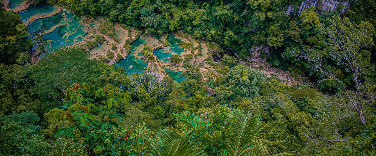 A dense forest with a river and rocky terrain.
