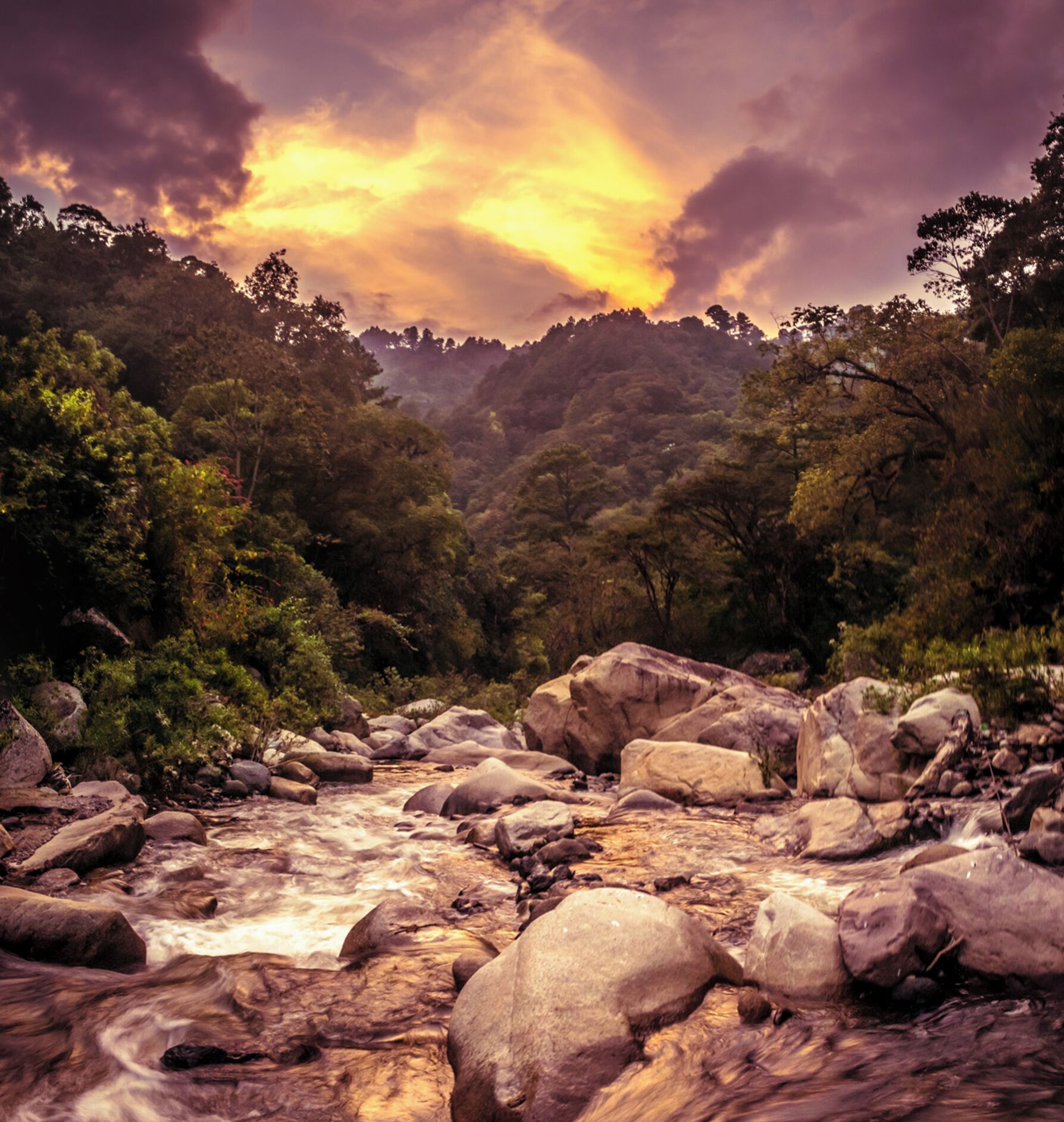 A river flowing through a rocky landscape with large boulders and dense forest.