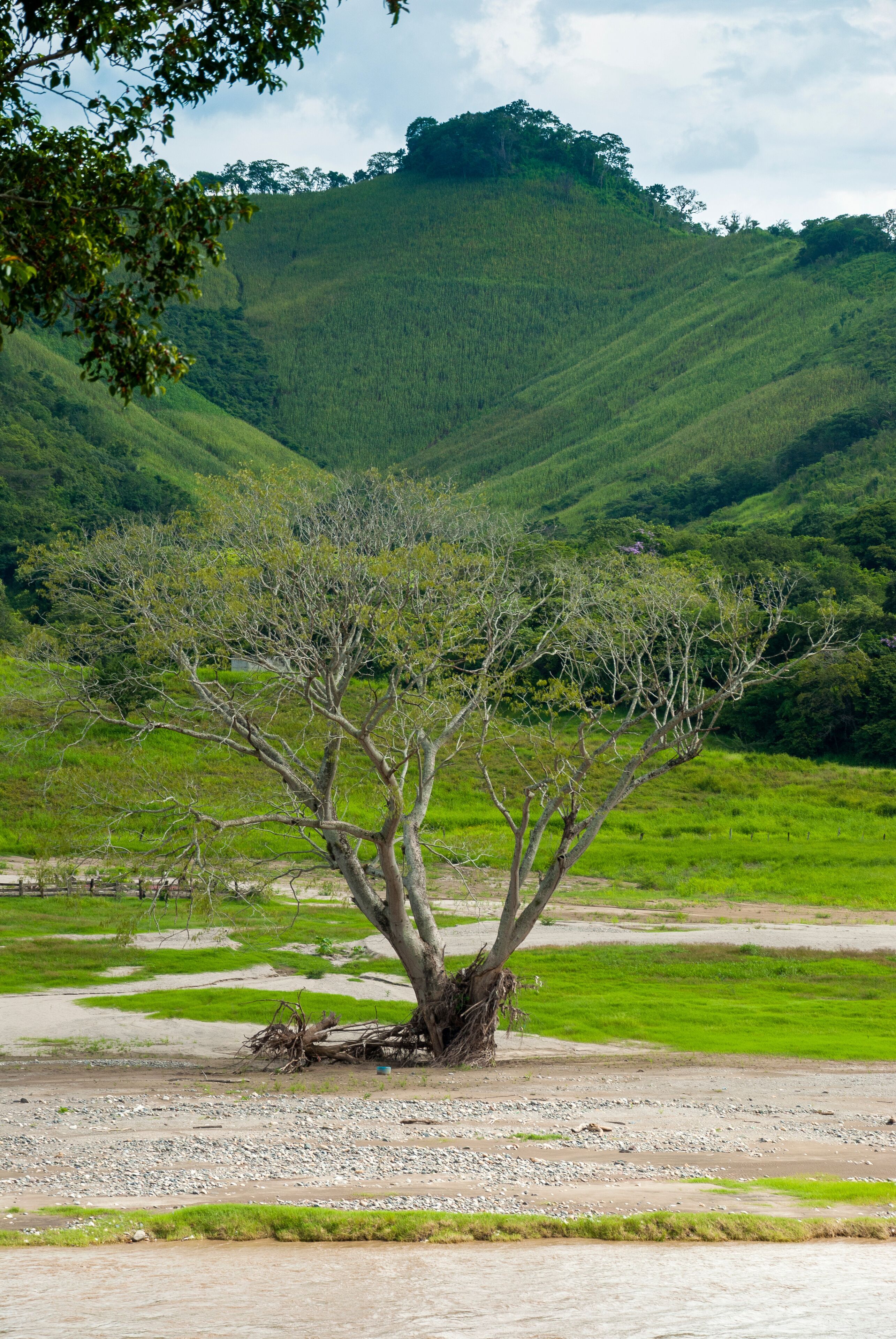 River called Motagua cloudy winter in El Progreso, Guatemala. Turbid river.