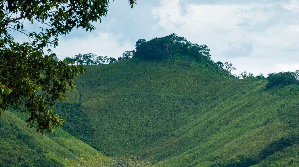 River called Motagua cloudy winter in El Progreso, Guatemala. Turbid river.