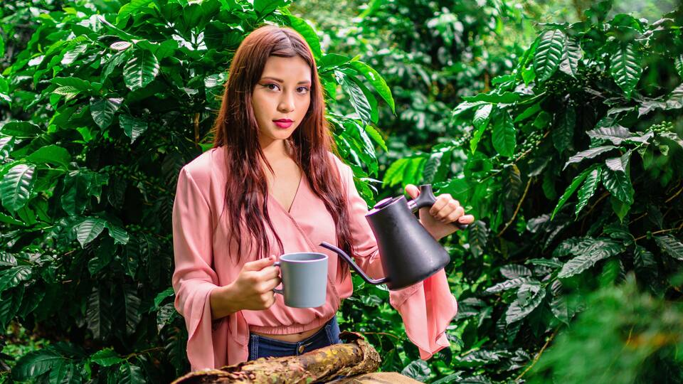 woman in coffee plantation in guatemala