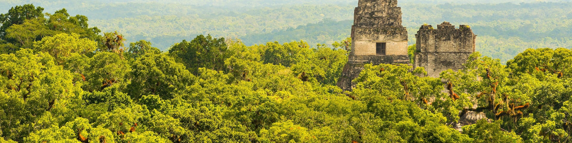 Tikal Ruins Guatemala