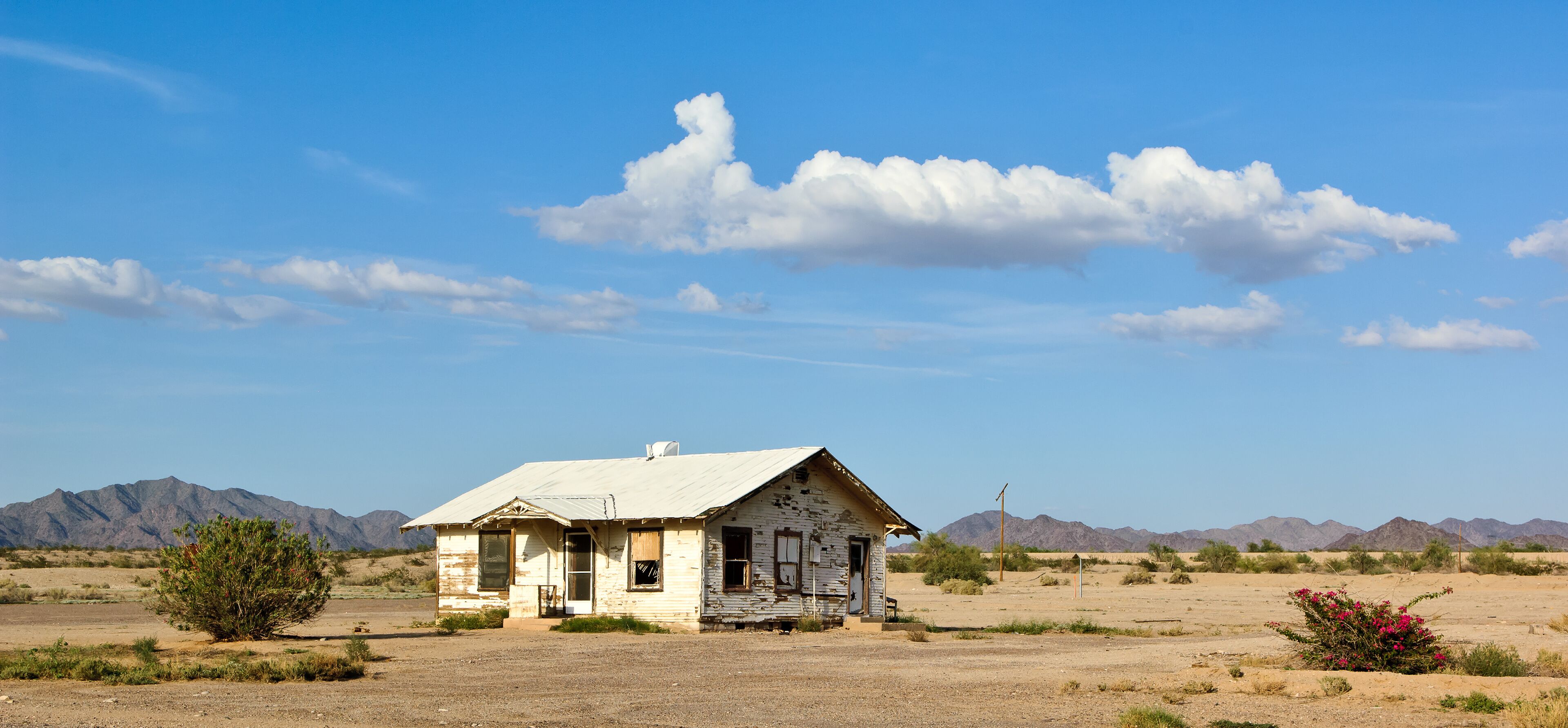 Victim of the Great Recession