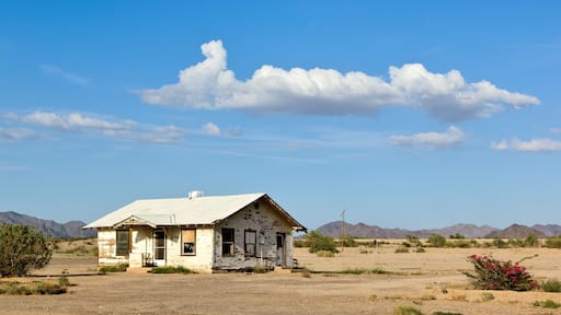 Victim of the Great Recession