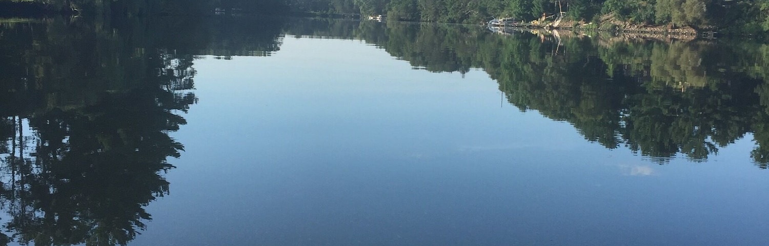 Morning fishing