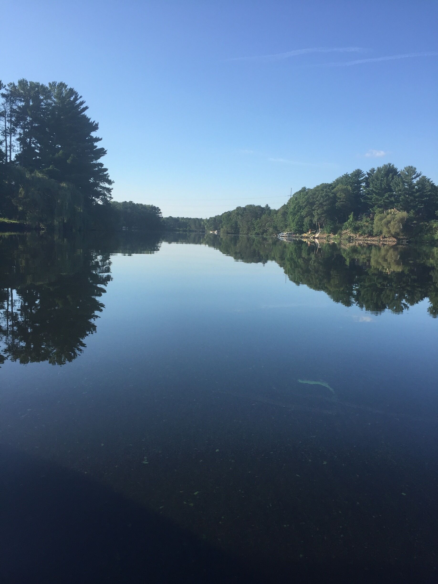 A calm lake with clear reflections of trees and a clear sky.