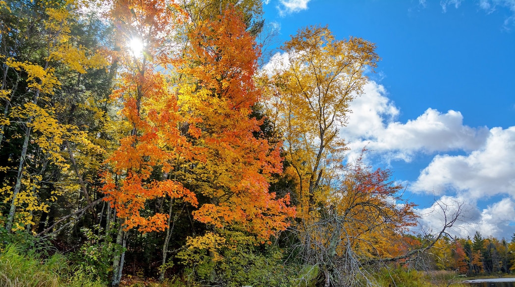 Autumn scenes along the Chippewa River in northern Wisconsin.