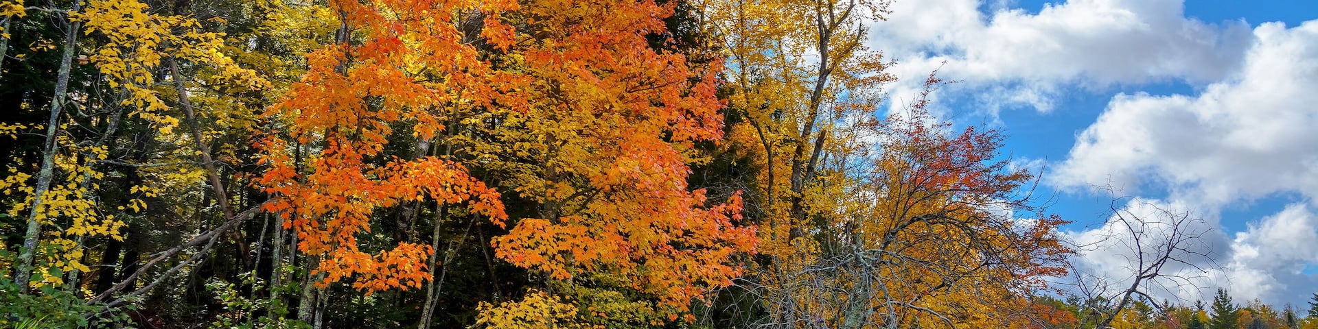 Autumn scenes along the Chippewa River in northern Wisconsin.