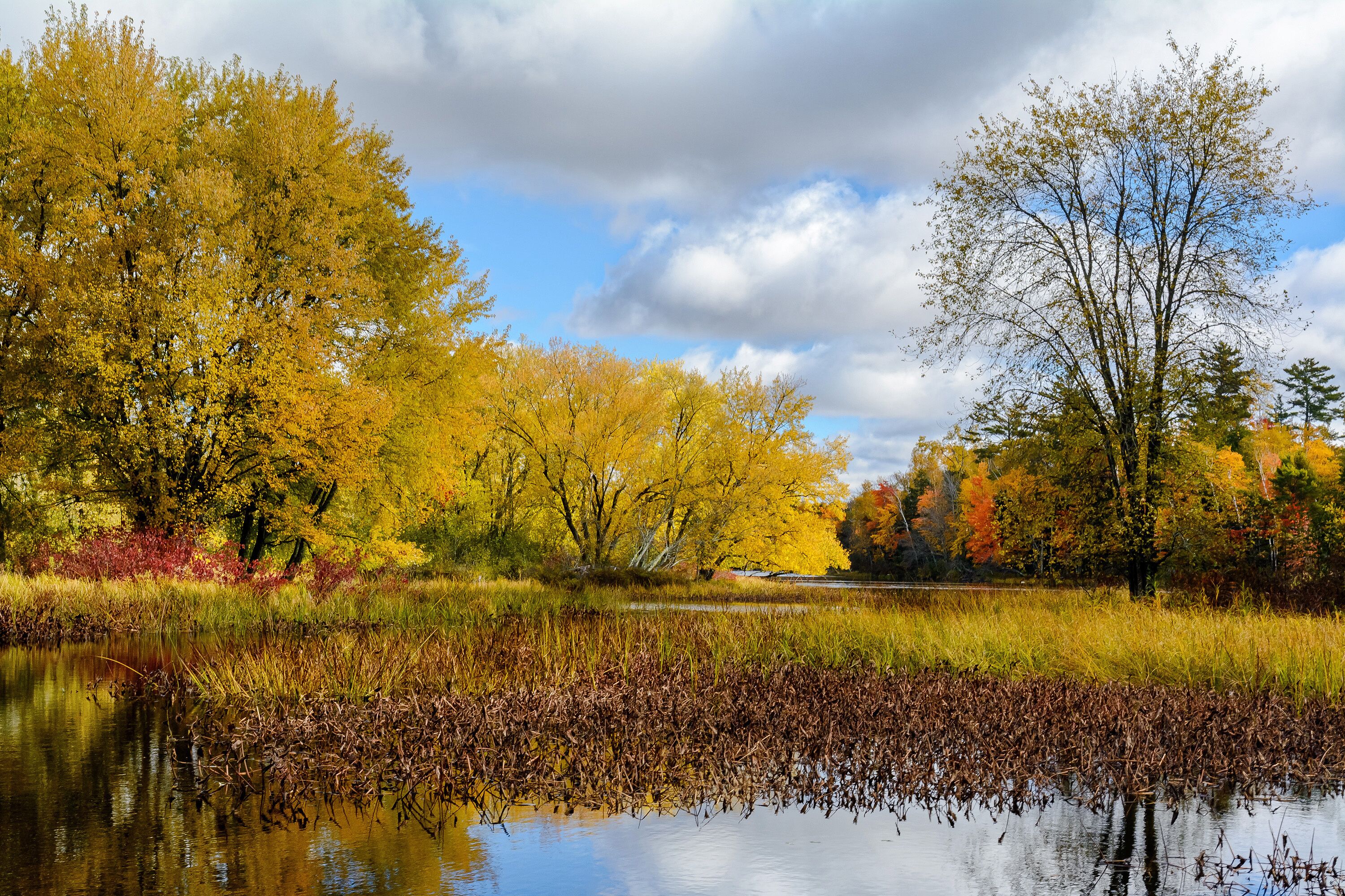 Autumn scenes along the Chippewa River in northern Wisconsin.