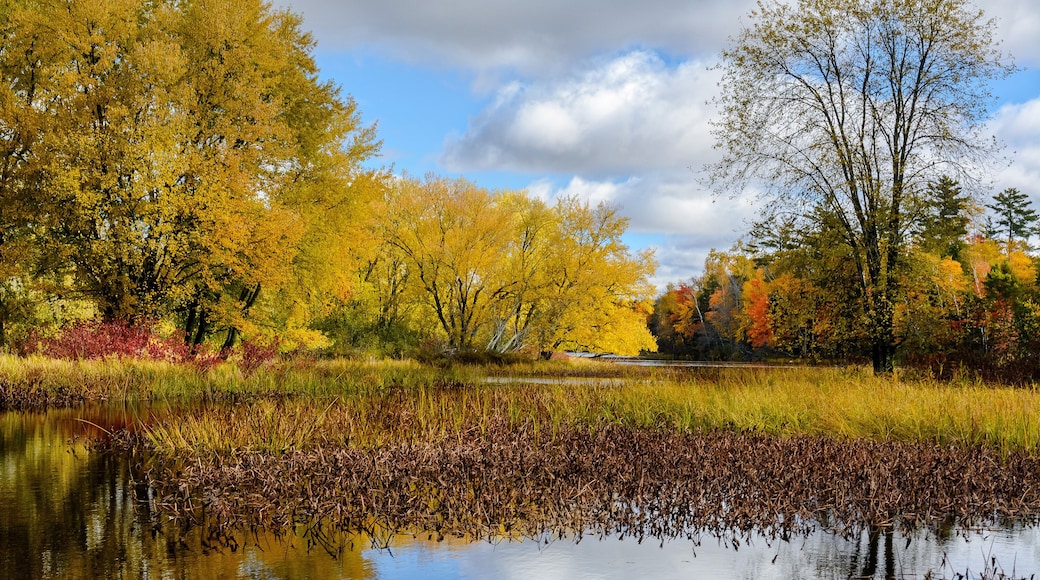 Autumn scenes along the Chippewa River in northern Wisconsin.