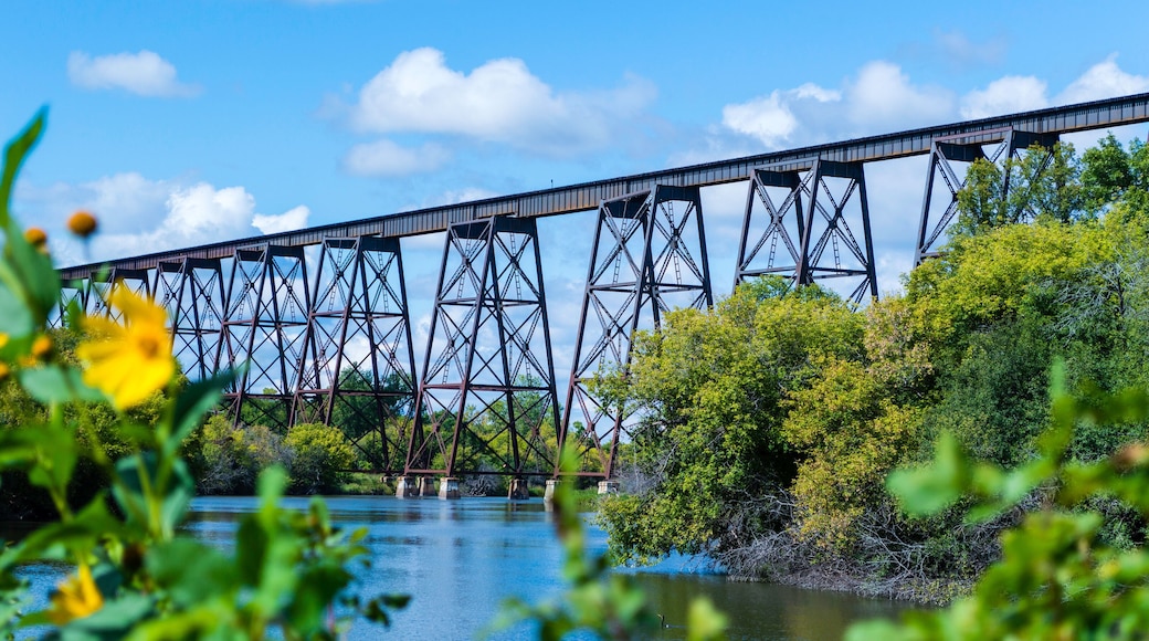 Train Bridge Over The Valley
