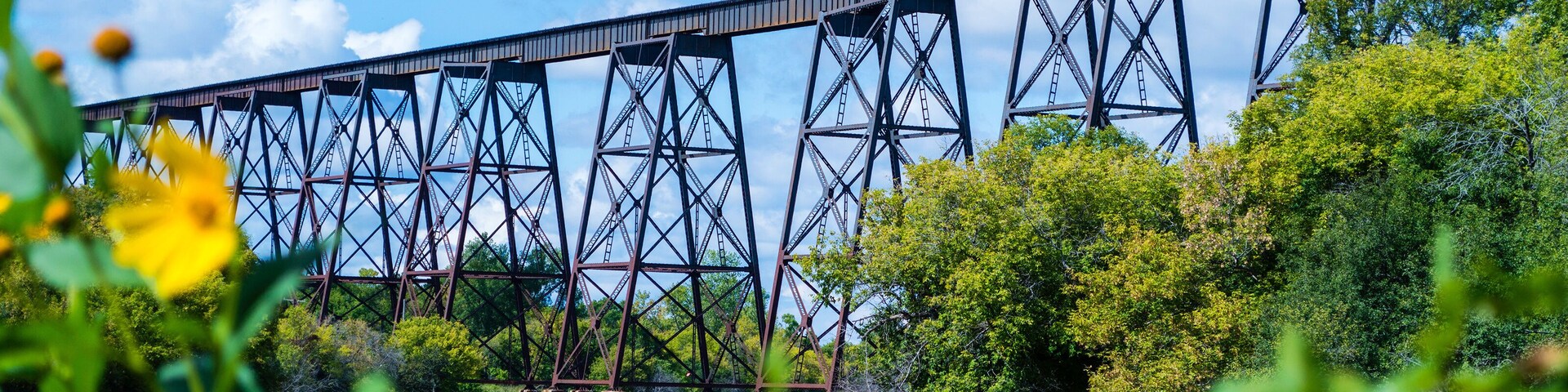 Train Bridge Over The Valley