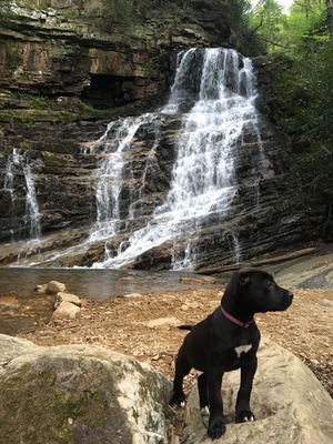 Lila, conquer of waterfalls.