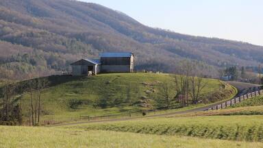 Views from the rural Virginia farmlands