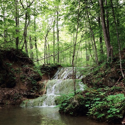 I found this place towards the end of my last semester at Virginia Tech. It's a smaller preserve but there's still some #hiking trails worth exploring. The waterfalls are very fun to splash in.