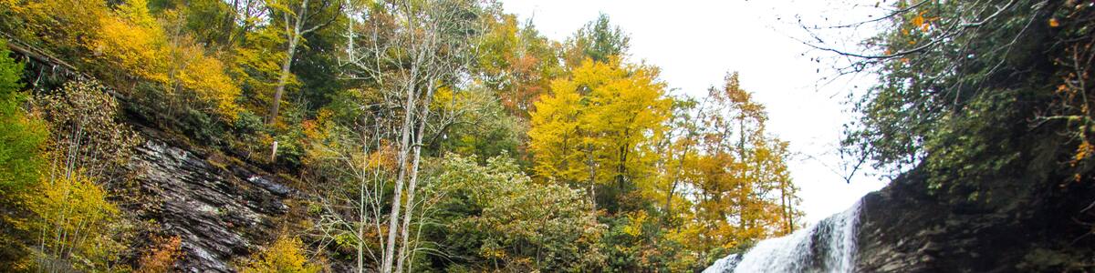 Fall leaves seen on a hike in Christiansburg, a town in southwestern Virginia along the Appalachian mountains.