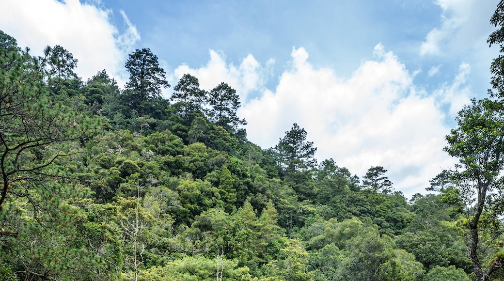 San Antonio de Oriente