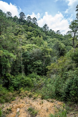 parque nacional la tigra