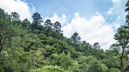 San Antonio de Oriente