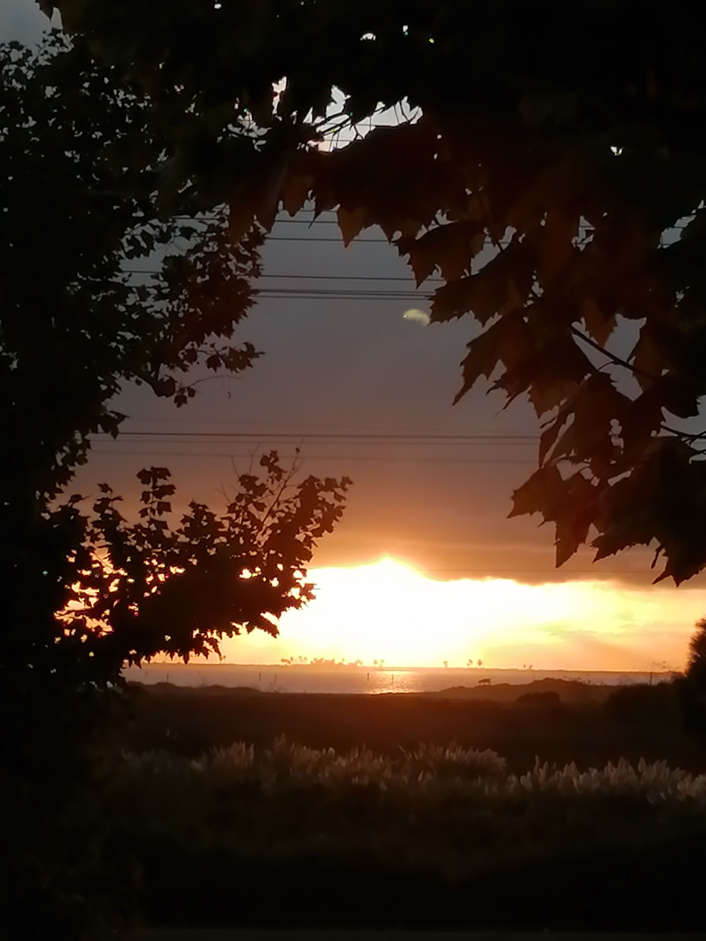 Just finished a lovely bike when and was lucky enough to see this beautiful sunset.