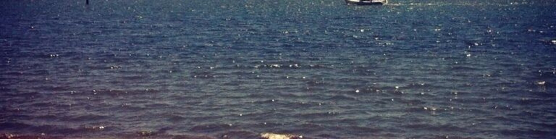 #california Can never get enough of sun or sand.