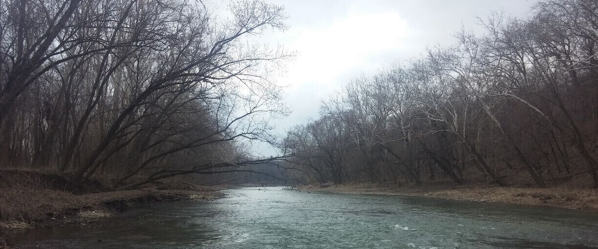 A river flowing through a forested area with bare trees and a cloudy sky.