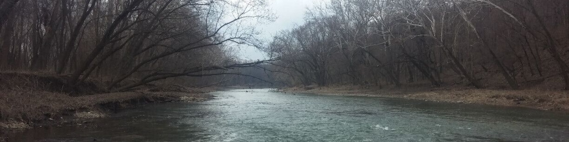 A river flowing through a forested area with bare trees and a cloudy sky.