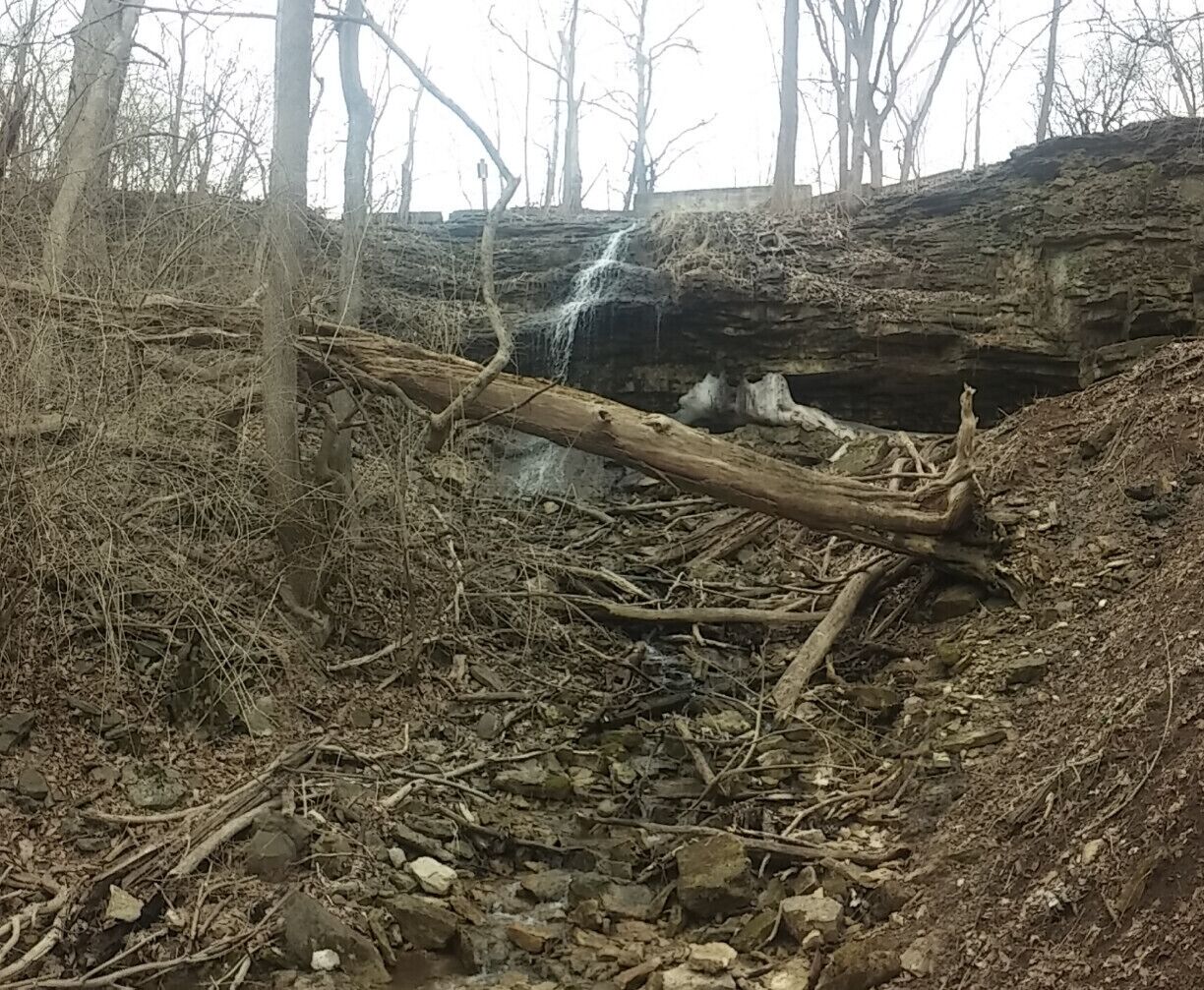Martindale Falls, one of three waterfalls located within Englewood Metro Park. To give a bit of scale, the fallen tree is about 3ft in diameter.